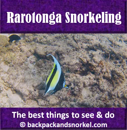 Rarotonga Snorkeling Purple Travel Guide