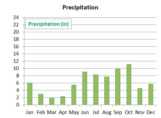 Average monthly tprecipitation in Belize City in Belize