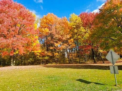 colorful fall foliage in the Pittsburgh area