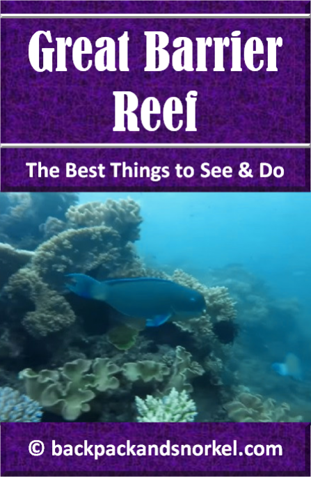 Australia Travel Guide by Backpack & Snorkel showing a colorful fish at the Great Barrier Reef in Australia