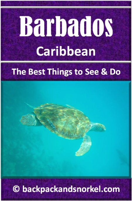 Backpack and Snorkel Barbados Travel Guide - Barbados Purple Travel Guide