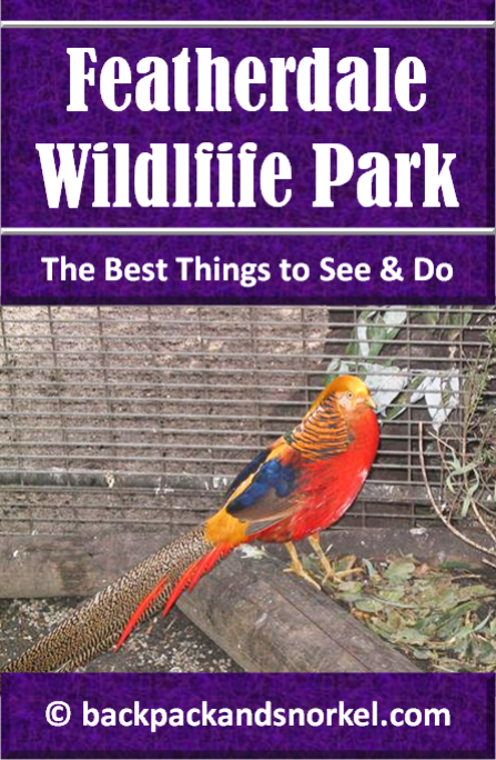 Australia Travel Guide by Backpack & Snorkel showing animals in Featherdale Wildlife Park in Sydney, Australia