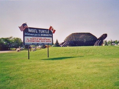 Wee'l Turtle in Dunseith, ND