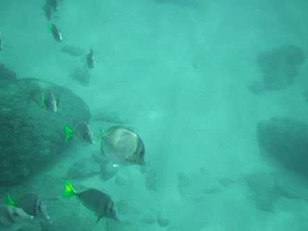 Making Memorable Moments at Santa Maria Beach in Los Cabos