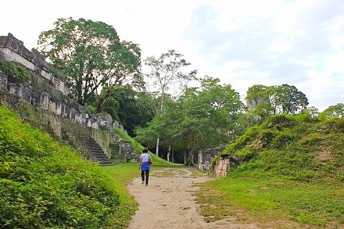 CENTRAL ACROPOLIS in Tikal