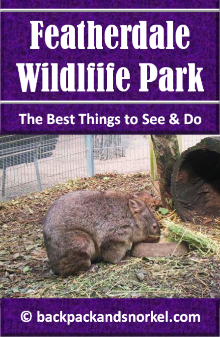 Australia Travel Guide by Backpack & Snorkel showing animals in Featherdale Wildlife Park in Sydney, Australia