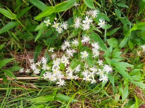 Raccoon Creek State Park