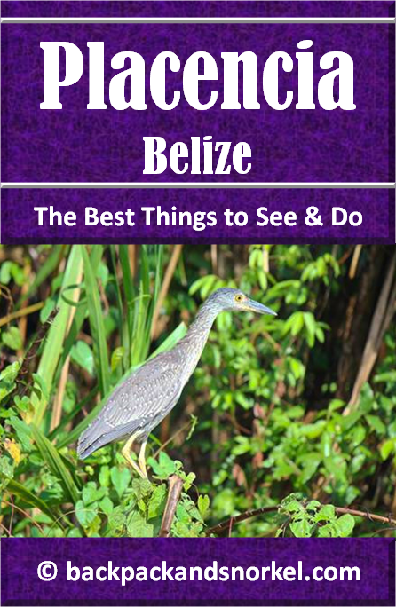 Belize & Tikal Travel Guide by Backpack & Snorkel showing a bird in the Monkey River park in Placencia, Belize