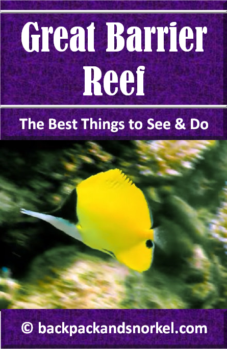 Australia Travel Guide by Backpack & Snorkel showing a colorful yellow fish at the Great Barrier Reef in Australia