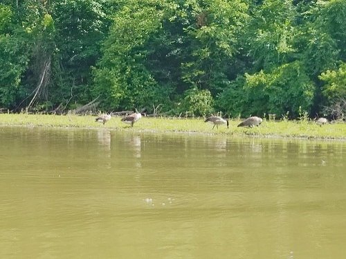 CANONSBURG LAKE