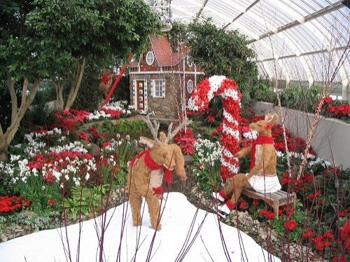 PHIPPS CONSERVATORY