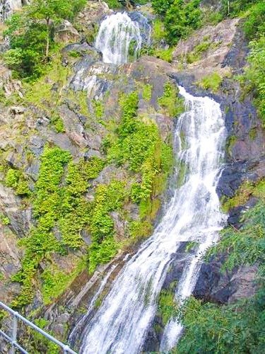 view on waterfalls from the Kuranda Scenic Railway in Kuranda, Australia