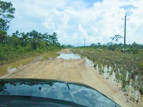 Photo of the Coastal Highway dirt road with water puddles after a rain storm in Belize