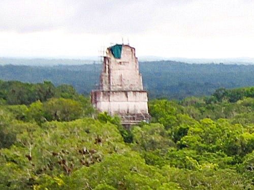 photo of TEMPLE III in Tikal