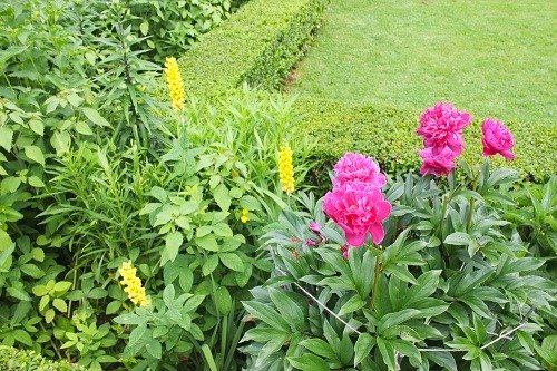 Flowers in the garden of the Hildene Estate in  Manchester, Vermont