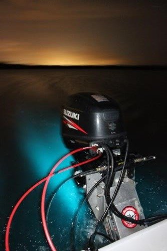 Making Memorable Moments at Bioluminescent Bay