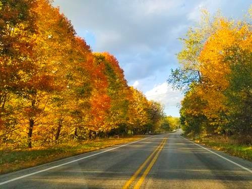 colorful fall foliage in the Pittsburgh area