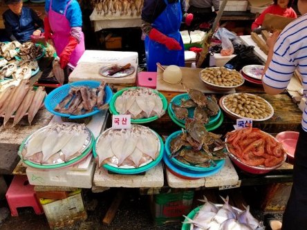 Jagalchi Fish Market in Busan, South Korea