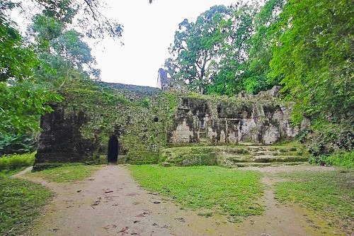 PALACE OF THE GROOVES (PALACIO DE LAS ACANALADURAS, GROUP G) in Tikal