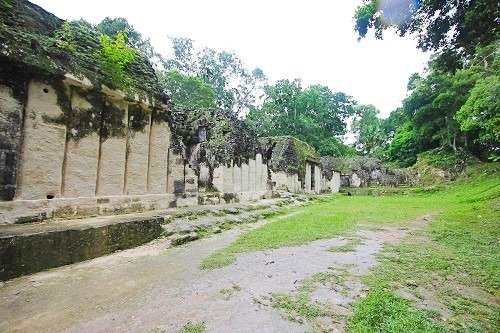 PALACE OF THE GROOVES (PALACIO DE LAS ACANALADURAS, GROUP G) in Tikal