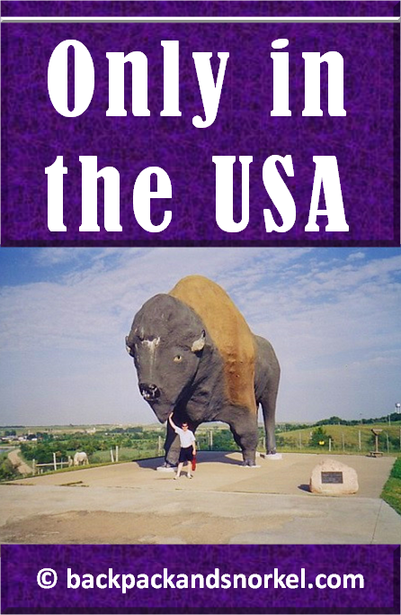 The world's largest buffalo monument in Jamestown, North Dakota