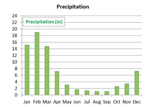 average precipitation in Cairns by month