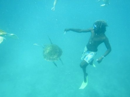 Swimming with turtles catamaran tour in Barbados