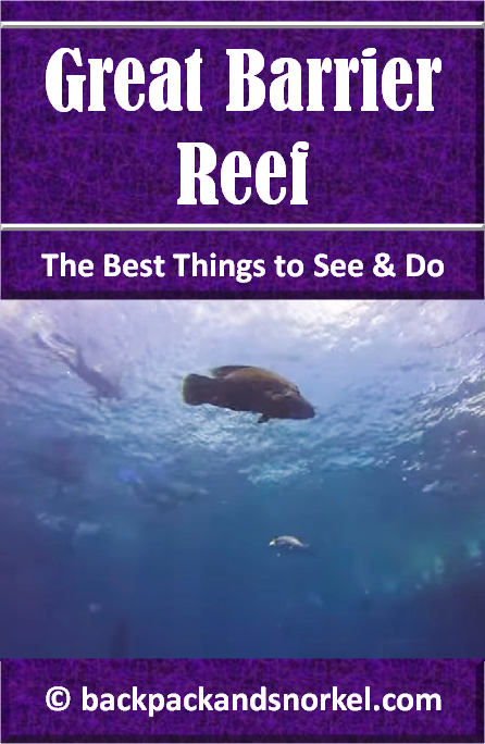 Australia Travel Guide by Backpack & Snorkel showing a fish at the Great Barrier Reef in Australia