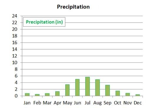 average precipitation in Perth by month