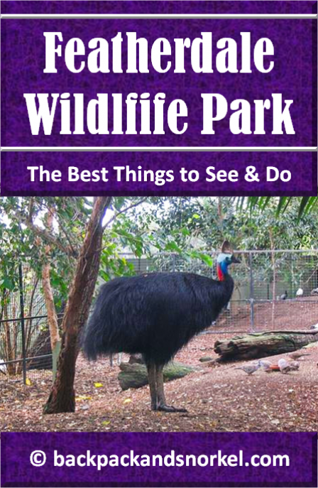 Australia Travel Guide by Backpack & Snorkel showing animals in Featherdale Wildlife Park in Sydney, Australia