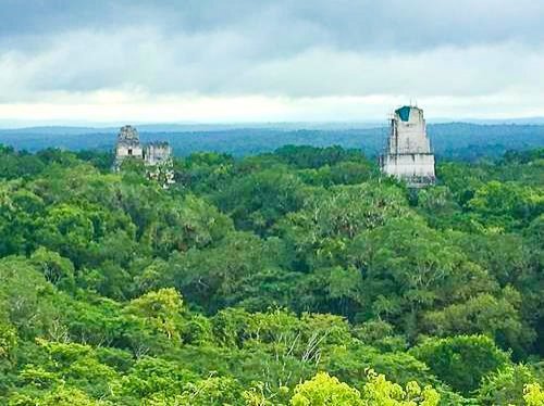 view from TEMPLE IV on Tikal