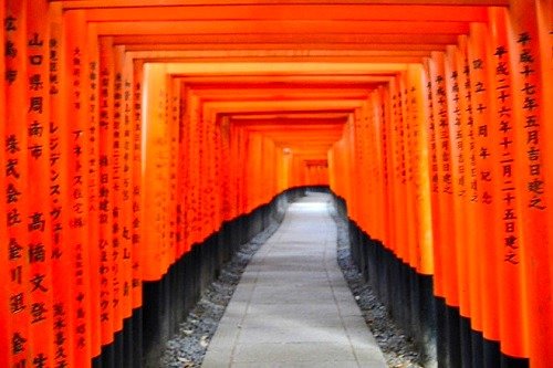 Making Memorable Moments at Fushimi Inari-taisha Shrine 