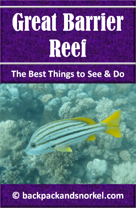 Australia Travel Guide by Backpack & Snorkel showing a colorful fish at the Great Barrier Reef in Australia