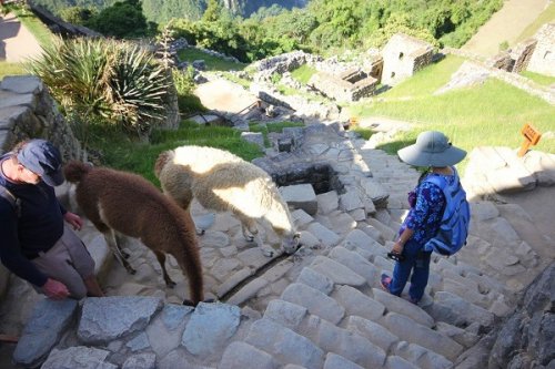 Steep stair in the ruins of Machu Picchu, Peru
