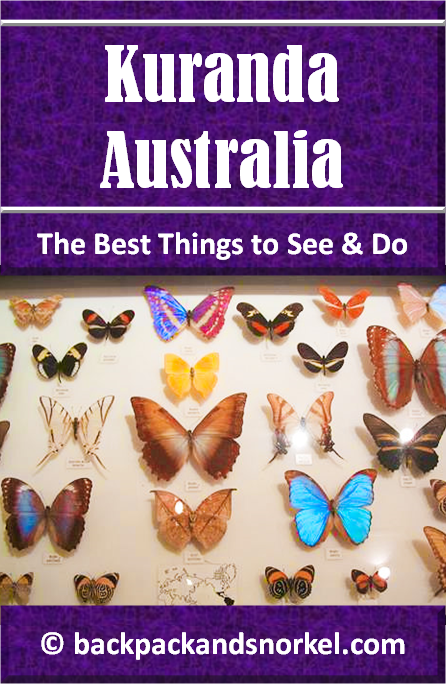 Australia Travel Guide by Backpack & Snorkel showing colorful butterflies in the Australian Butterfly Sanctuary in Kuranda, Australia