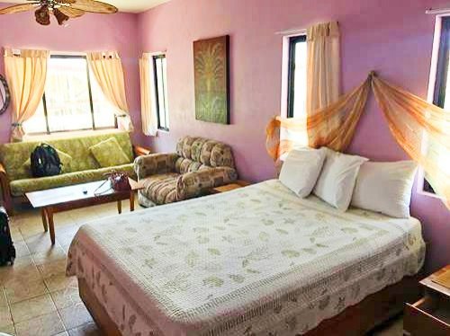 Bedroom in Corona del Mar Hotel & Apartments in San Pedro in Ambergris Caye, Belize