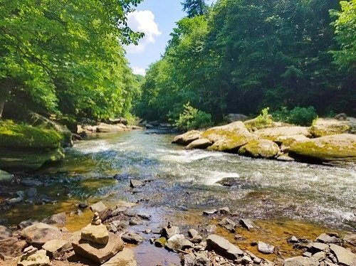 MCCONNELLS MILL STATE PARK