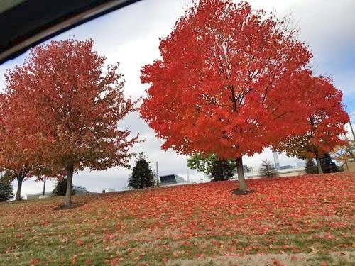 colorful fall foliage in the Pittsburgh area