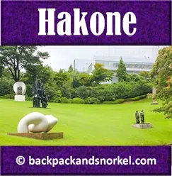Backpack and Snorkel Travel Guide for Hakone - Hakone Purple Guide