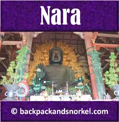Backpack and Snorkel Travel Guide for Nara - Nara Purple Guide