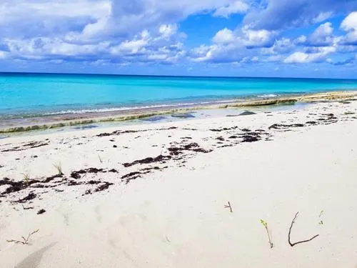 Beach at Casuarina Pines Villas on Crooked Island