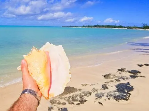 Major’s Cay Bay beach on Crooked Island