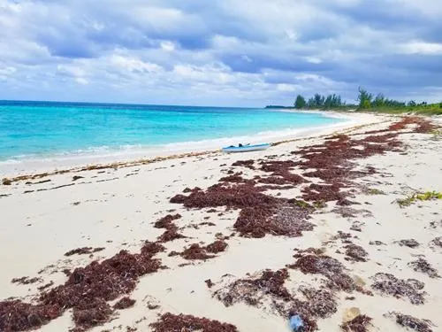 Pitts Town to Gun Bluff beach