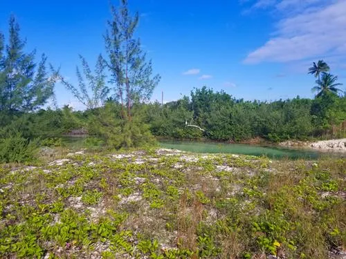 Travel Guide For The Best Lagoons In Crooked Island Bahamas Crooked Island Purple Travel Guide 6080