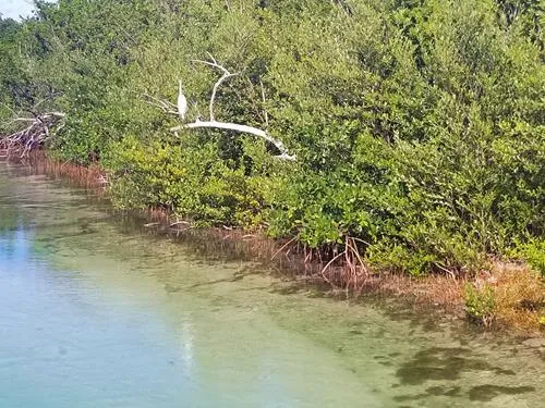 Salt Lagoon in Crooked Island