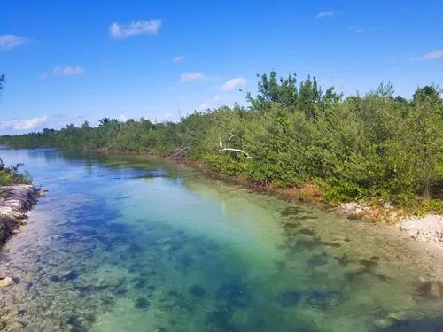 Salt Lagoon in Crooked Island