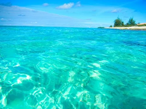 Seahorse Shores Beach on Crooked Island