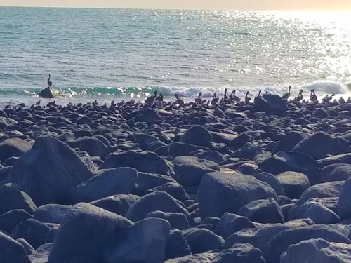 Mirador Beach (Playa Mirador) in Puerto Penasco