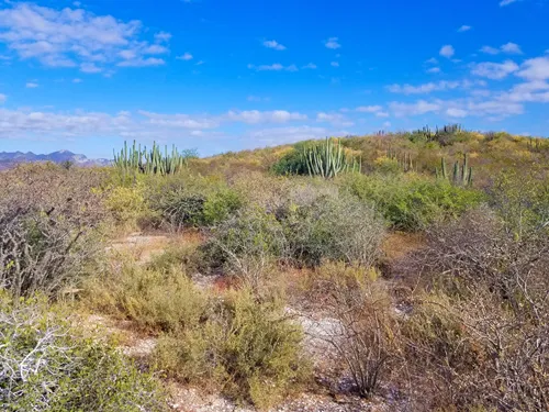 Estero El Soldado