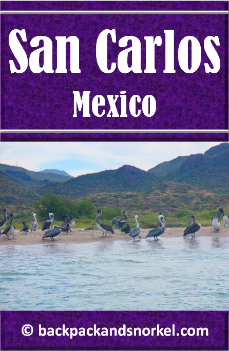 Backpack and Snorkel San Carlos, Mexico Travel Guide - San Carlos, Purple Travel Guide